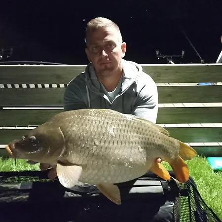 Mandala Case de vacanță